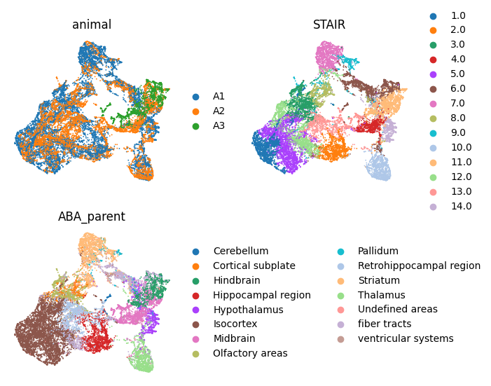 _images/3._3D_reconstruction_of_ST_mouse_brain_8_2.png